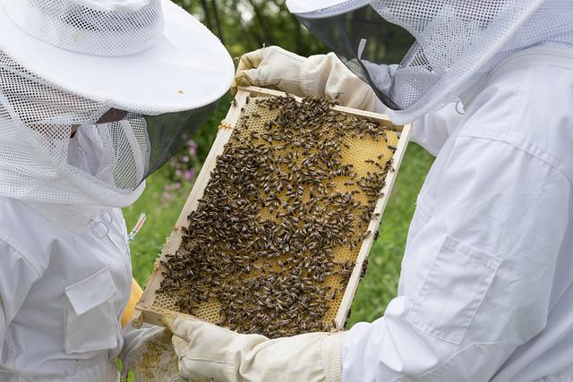 l’apprentissage de l’apiculture doit passer par une mise en pratique en rucher école